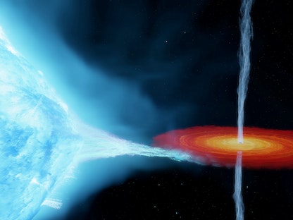 تصوير فني لنظام "الدجاجة إكس-1" يتضمن ثقباً أسود ذا كتلة نجمية يدور حول نجم مرافق على بعد 7200 سنة ضوئية من الأرض - المركز الدولي لبحوث الفلك الراديوي  -  REUTERS