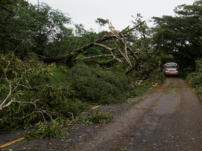 حافلة ركاب تسير على طول طريق به أشجار سقطت في أعقاب إعصار "جوليا" بنيكاراجوا - 10 أكتوبر 2022 - REUTERS