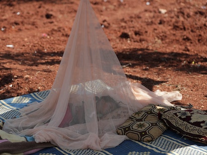 طفل سوري ينام داخل "ناموسية" في بستان بمحافظة إدلب - سوريا - 15 مايو 2019 - REUTERS