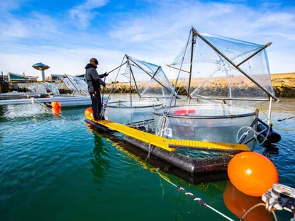 هل يمكن أن تصلح المحيطات ما أفسده البشر؟ دراسة تجيب