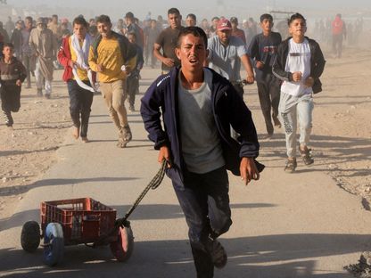 وزير الخارجية المصري لمبعوث ترمب: إقامة دولة فلسطينية تجنب المنطقة تكرار حلقات التصعيد