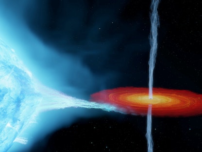 تصوير فني لنظام "الدجاجة إكس-1" يتضمن ثقباً أسود ذو كتلة نجمية يدور حول نجم مرافق على بعد 7200 سنة ضوئية من الأرض، المركز الدولي لبحوث الفلك الراديوي  -  REUTERS