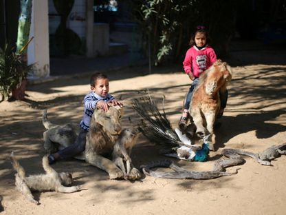 أطفال فلسطينيون يجلسون على حيوانات محنطة يقول أصحابها إنها ماتت نتيجة الجوع في حديقة بمدينة رفح جنوبي قطاع غزة- 3 يناير 2017 - Reuters