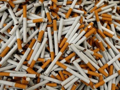 بعض السجائر خلال عملية التصنيع في أحد المصانع في بايرويت بألمانيا. 30 أبريل 2014 - REUTERS