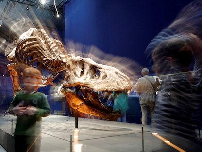 زوار يشاهدون هيكلاً عظميا لديناصور من نوع "تي-ريكس" في المتحف الوطني في باريس. - REUTERS