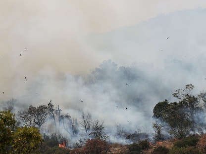 حرائق الغابات في منطقة إيفروس باليونان. 29 أغسطس 2023 - REUTERS