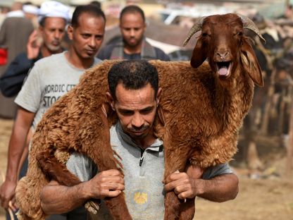 بائع يحمل خروفاً في سوق للماشية قبيل عيد الأضحى المبارك في محافظة القليوبية بمصر. 10 يونيو 2024 - Reuters
