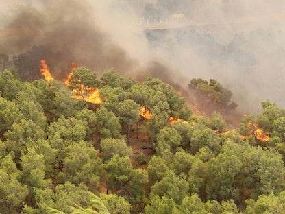 الحرائق تطالب الغابات في سوق أهراس شرقي الجزائر- 18 أغسطس 2022 -  Facebook/@dpc.soukahras.41