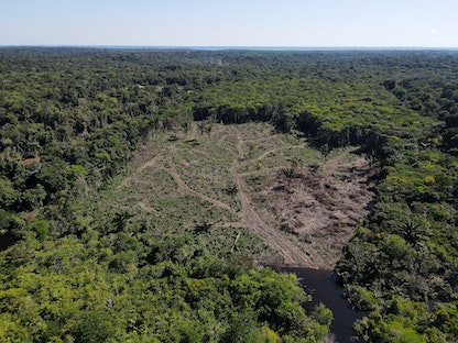 منظر جوي يُظهر قطعة أرض أزيلت منها الأشجار في غابات الأمازون المطيرة في أمازوناس بالبرازيل، 8 يوليو 2022 - REUTERS