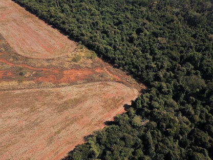 لقطة جوية تُظهر إزالة الأشجار في غابات ولاية ماتو جروسو وسط البرازيل- 28 يوليو 2021 - REUTERS