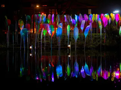 عمل فني ضوئي بعنوان "موجة الضوء". (2025) - lightart-collection.com