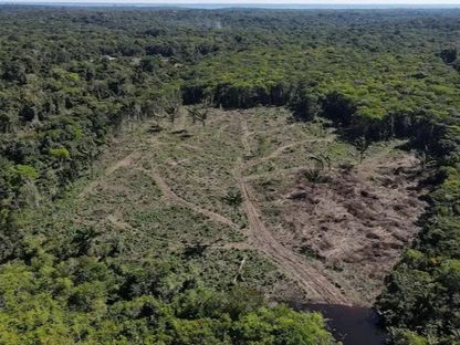 منظر جوي يُظهر قطعة أرض أزيلت منها الأشجار في غابات الأمازون المطيرة في أمازوناس، البرازيل، 8 يوليو 2022 - REUTERS