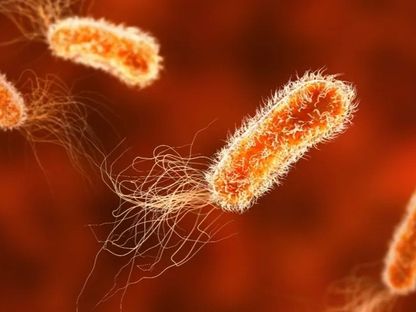 صورة تخيلية لأحد أنواع البكتيريا - AFP