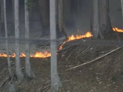 إجلاء أكثر من 3000 بسبب حريقي غابات في شمال اليابان