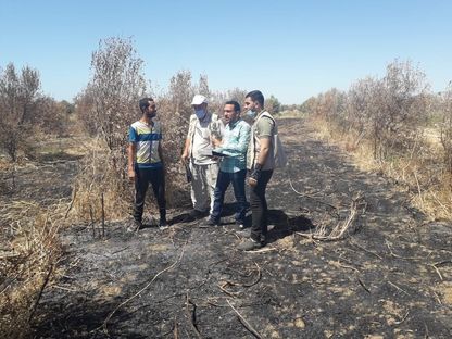 موظفون في مديرية الزراعة بشمال غزة يتفقدون أثار العدوان الإسرائيلي على قطاع الزراعة في غزة - facebook/ وزارة الزراعة في غزة