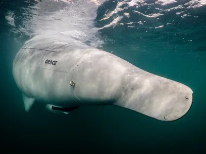 مدعومة بالذكاء الاصطناعي.. ألمانيا تكشف عن غواصة Greyshark المسيّرة