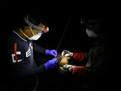 منظمة الصحة العالمية: خطر انتشار فيروس "نيباه" خارج الهند منخفض