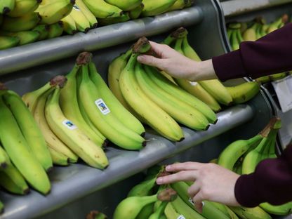 الموز أحد الفواكه التي تحتوي على مضادات تأكسد عظيمة الفائدة - Reuters