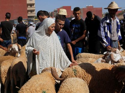 صورة أرشيفية لحد أسواق الماشية في مدينة وجدة شرقي المغرب. - Reuters