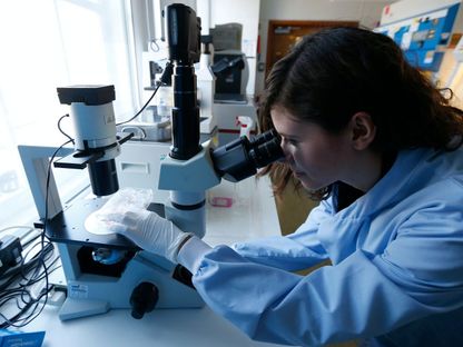 باحثة إيطالية تفحص خلايا السرطان في مختر بالعاصمة البريطانية لندن - REUTERS