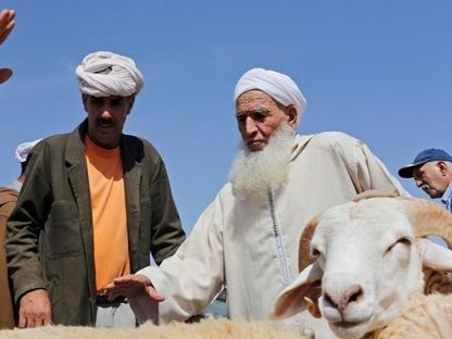 صورة غير مؤرخة لرجل يشتري خروفاً من سوق الماشية قبيل عيد الأضحى، في مدينة وجدة، المغرب - REUTERS