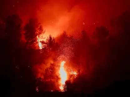 تحليل 3500 حريق في 12 سنة.. النار تمنع تجدد الغابات وتغير شكلها للأبد