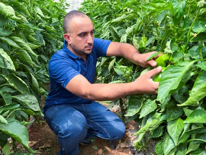 الأردن.. الذكاء الاصطناعي يتنبأ بمشكلات المحاصيل ويرشد استخدام المياه