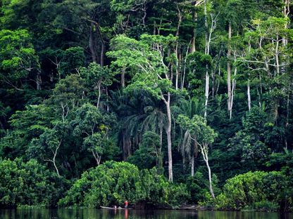 حوض الكونغو بإفريقيا أكبر غابة مطيرة في العالم - X@UNEP