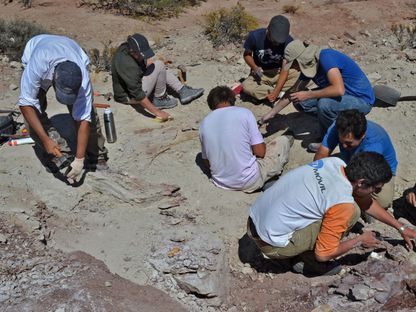 علماء ينقبون عن بقايا ديناصورات في مقاطعة ريو نيغرو ، الأرجنتين. - AFP/ ARGENTINE MUSEUM OF NATURAL SCIENCES