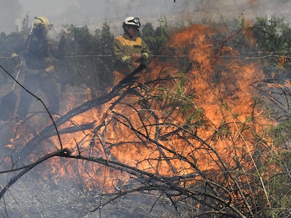 رجل إطفاء يعمل على إخماد حريق هائل في فيرين بإسبانيا. 3 أغسطس 2022 - AFP