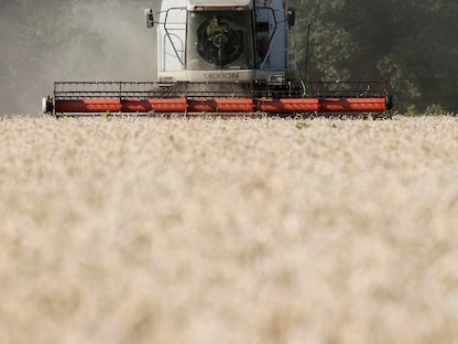 مزارع يحصد القمح في حقل قرب العاصمة الأوكرانية كييف - 17 يوليو 2020. - REUTERS