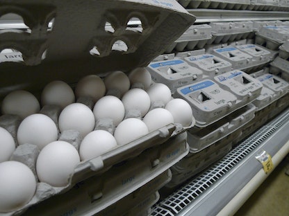 بيض في أحد المتاجر بواشنطن- 23 أغسطس 2010  - REUTERS