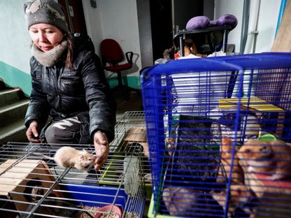 مواطنة أوكرانية تعتني بالحيوانات في مدينة ماريوبل، أوكرانيا، 25 مارس 2022 - REUTERS