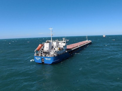 السفينة "جيبيك جولي" التي ترفع علم روسيا قبالة ميناء كاراسو على البحر الأسود في تركيا - 3 يوليو 2022 - REUTERS