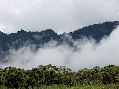 يخشى دعاة الحفاظ على البيئة من إمكانية قطع الأشجار في غابات البلاد، بابوا غينيا الجديدة. 16 نوفمبر 2021  - AFP