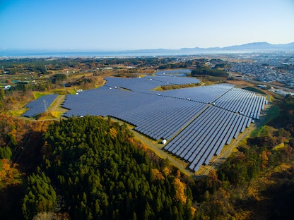 ألواح للطاقة الشمسية في منطقة أوموري اليابانية- 24 يوليو 2017 - REUTERS