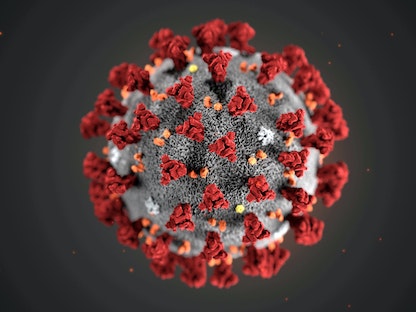 رسم تخيلي لفيروس كورونا نشره مركز السيطرة على الأمراض والوقاية منها في الولايات المتحدة- 29 يناير 2020 - REUTERS