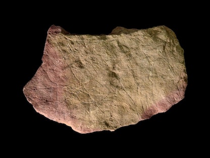 النقوش الموجودة على الأحجار تعود إلى العصر الحجري - Twitter@AndyNeedhamArch