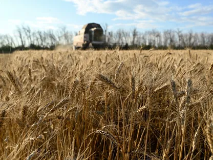 روسيا ترسل شحنة قمح إلى إيران عبر بحر قزوين لأول مرة منذ سنوات