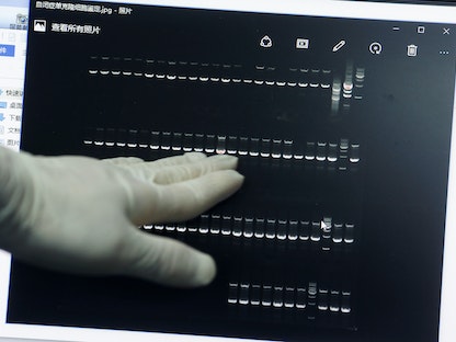 فني مختبر يعمل على برنامج تعديل الجينات في معمل شركة التكنولوجيا الحيوية (ساينوجين) في العاصمة الصينية بكين - 15 يونيو 2018. - REUTERS