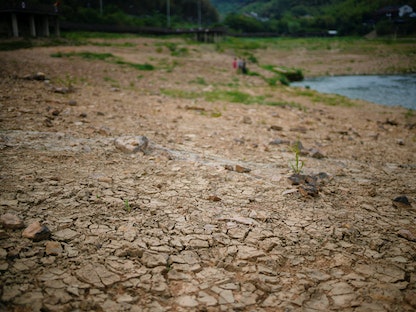 جفاف المياه والجداول في الصين بس ارتفاع  درجات الحرارة العالية  - REUTERS