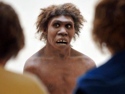 صورة لنموذج يمثل رجل إنسان "نياندرتال" معروض في المتحف الوطني لعصور ما قبل التاريخ بفرنسا  - AFP