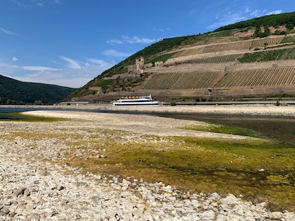سفينة سياحية تبحر عبر مجرى نهر الراين الجاف جزئياً، في بينجن، ألمانيا - 17 أغسطس 2022 - REUTERS