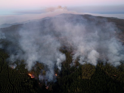 منطقة مزروعة بأشجار الصنوبر والأوكالبتوس أثناء حريق غابات هائل في مدينة تومي الساحلية جنوب غرب تشيلي. 8 فبراير 2023 - REUTERS