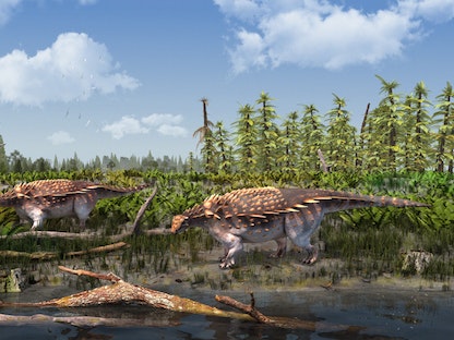 صورة تعبيرية لديناصورات فيكتابلتي بارتي Vectipelta barretti " المكتشفة حديثاً 