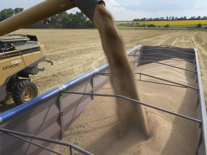 بولندا وسلوفاكيا والمجر تتحدى الاتحاد الأوروبي وتواصل حظر السلع الأوكرانية