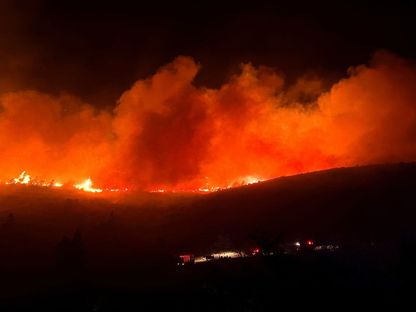 اليونان.. رياح عاتية تؤجج حريق غابات بالقرب من أثينا