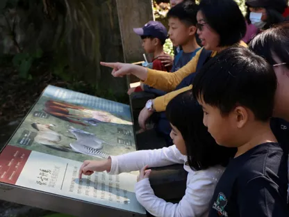 في عام الحصان.. حديقة حيوانات تايوان تجذب الأضواء بخيول مهددة بالانقراض