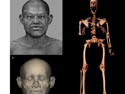 هيكل عظمي وصورة تخيلية لإنسان مصري قديم عاش قبل نحو 4500 عام - نيتشر