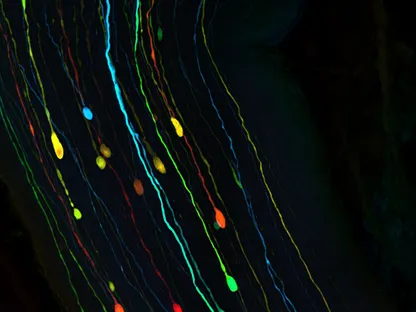 باحثون يتوصلون لأسباب تعافي الجهاز البصري بعد إصابات الدماغ